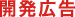 開発広告